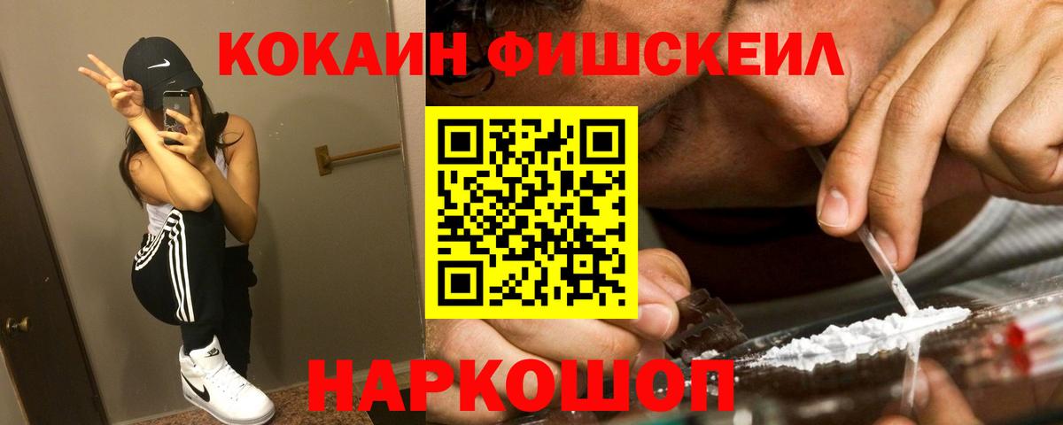 Губкинский  COCAIN  Вход с VPN  КОКАИН Fish Scale 