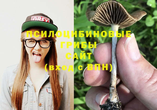 а пвп мука Балахна