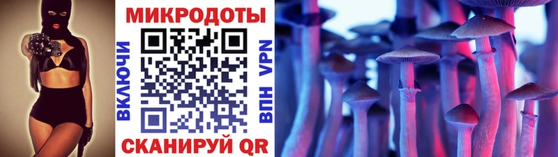 Псилоцибиновые грибы ЛСД  Губкинский 