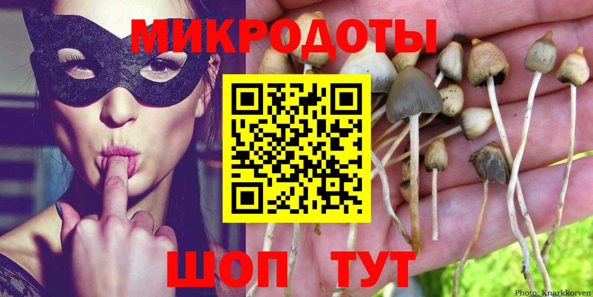 как найти   Вход с VPN  Губкинский  Псилоцибиновые грибы GOLDEN TEACHER 