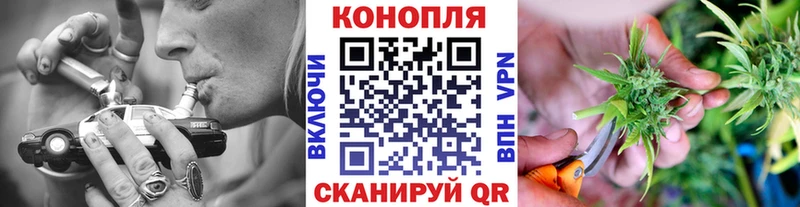 Канабис ГИДРОПОН  Губкинский 